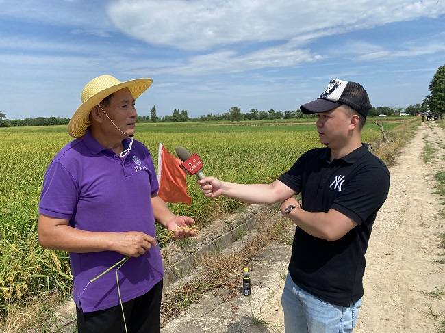 国稻种芯科技奇盛源示范基地现场会何登骥功能稻测产验收