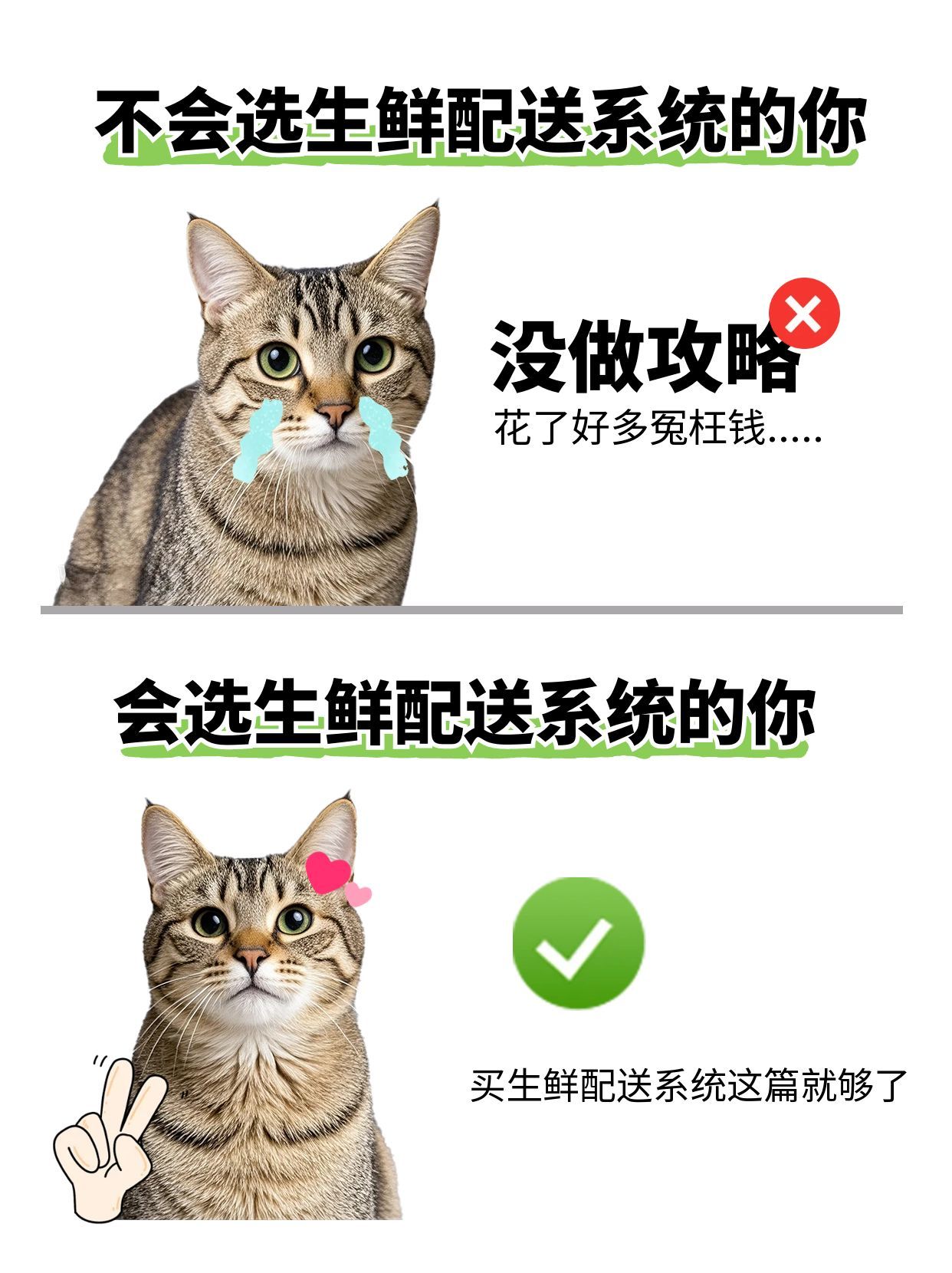870535bcd4893c87265ff59e9c2307bb.jpeg