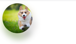 怎么把图片的背景搞成模糊的 870e11d1a2a691187ed8d76b97e7464b.png