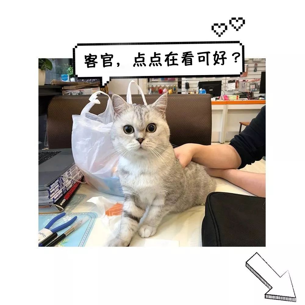 871536c6aa36ca3de90f1f748afafa88.png