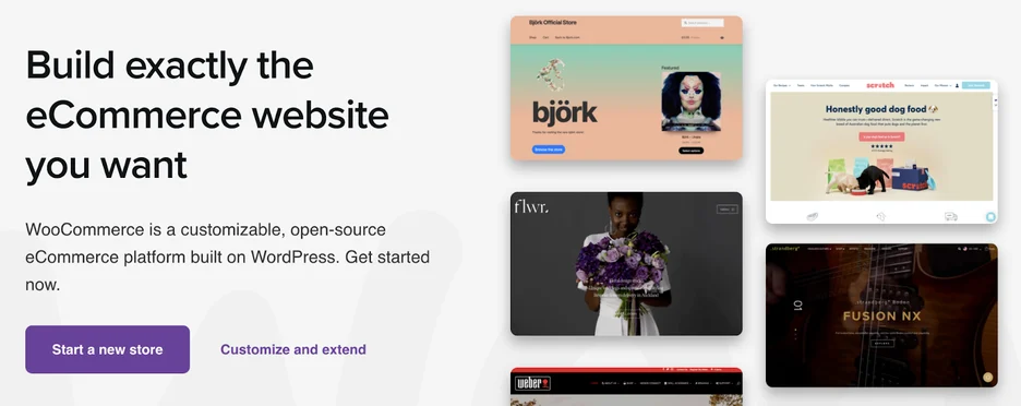 Best ecommerce website builders: Woocommerce