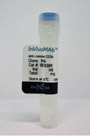 BioXCell，1H6--InVivoMAb anti-canine CD34