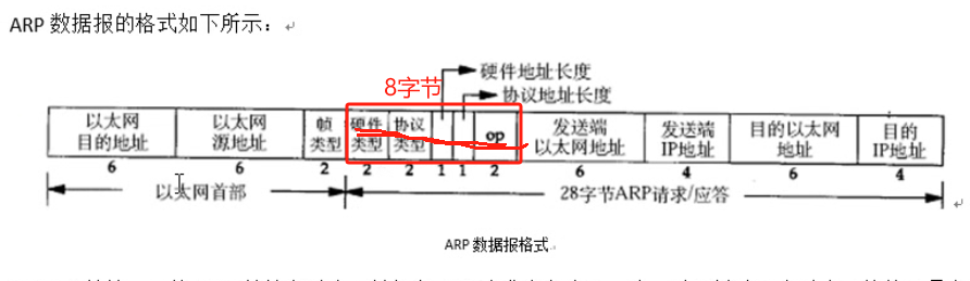 ARP数据报格式