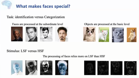 北师大刘嘉：认知神经科学如何打开 AI 黑箱？