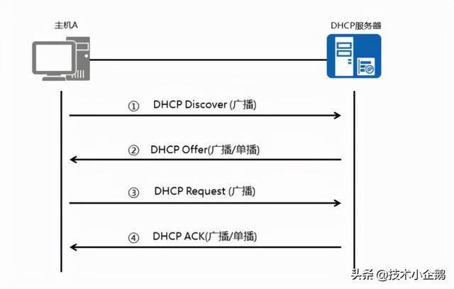 dhcp租约工程