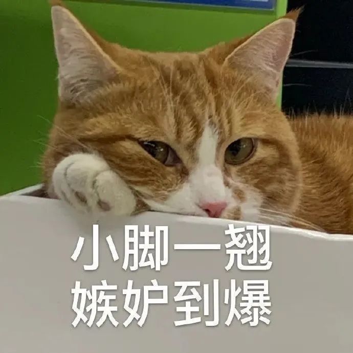 87b1297d6ddd91ca604f5e07eec4e6b5.jpeg