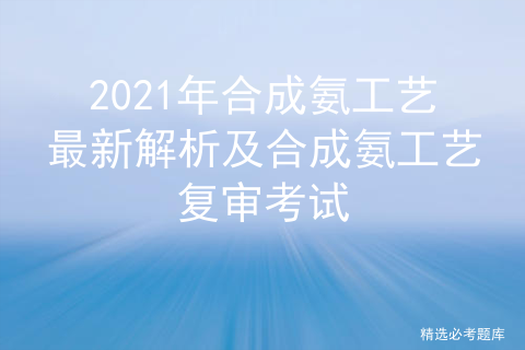 2021年合成氨工艺最新解析及合成氨工艺复审考试