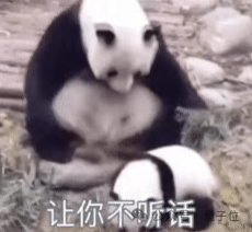 880a5fb5928032cc2dd3ec04c7f7b29c.png