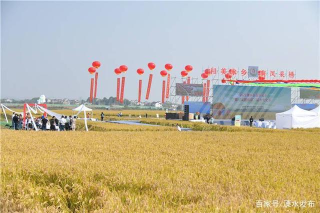 南京溧水农民丰收节 国稻种芯·中国水稻节：江苏味稻文化