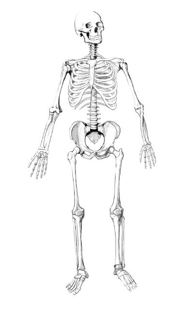 presentation编程软件编程难学web相关知识跟着淼哥学php全栈之路6