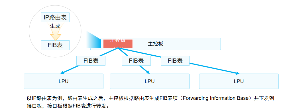 FIB表项