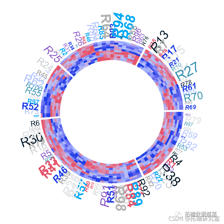 R语言绘制圈图、环形热图可视化基因组实战：展示基因数据比较-CSDN博客