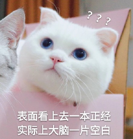 入门案例系列学英语太难这款英语单词小游戏教你一键学会