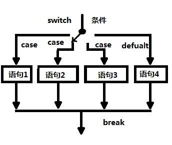 switch case default_C++入门到精通(十二)，switch语法运用详解-CSDN博客