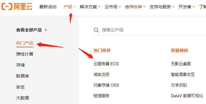 产品云服务器ECS.png