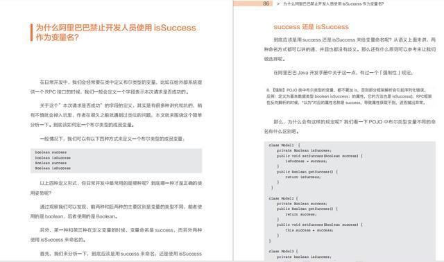 《Java开发手册灵魂13问》正式上线,带你剖析阿里巴巴的开发细节