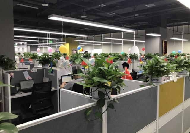 今日头条安卓_考察今日头条总部—字节跳动