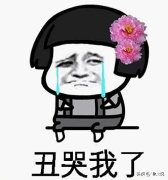 shofobeautifulflowplus好看是beautiful难看却没人知道