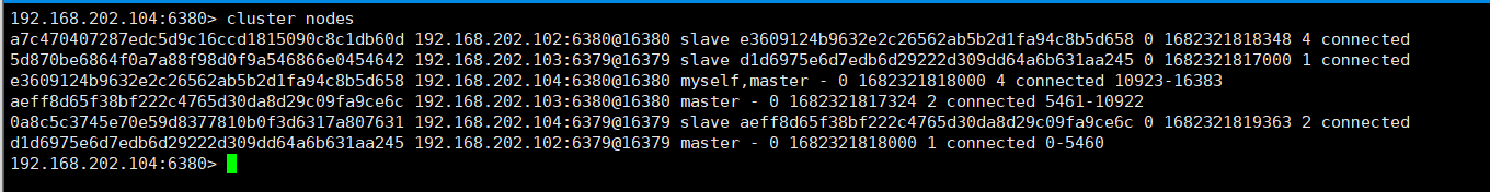 image-20230424153708295