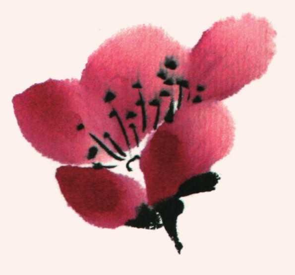 用python画出简单笑脸画法国画知识怎么样用圈点结合画法画梅花梅枝