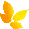 89d678b453407848aeb58f6ae3ee1509.png