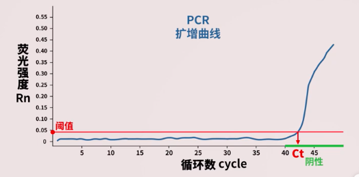 qPCR与新冠病毒核酸检测_rt-pcr标准曲线图-CSDN博客