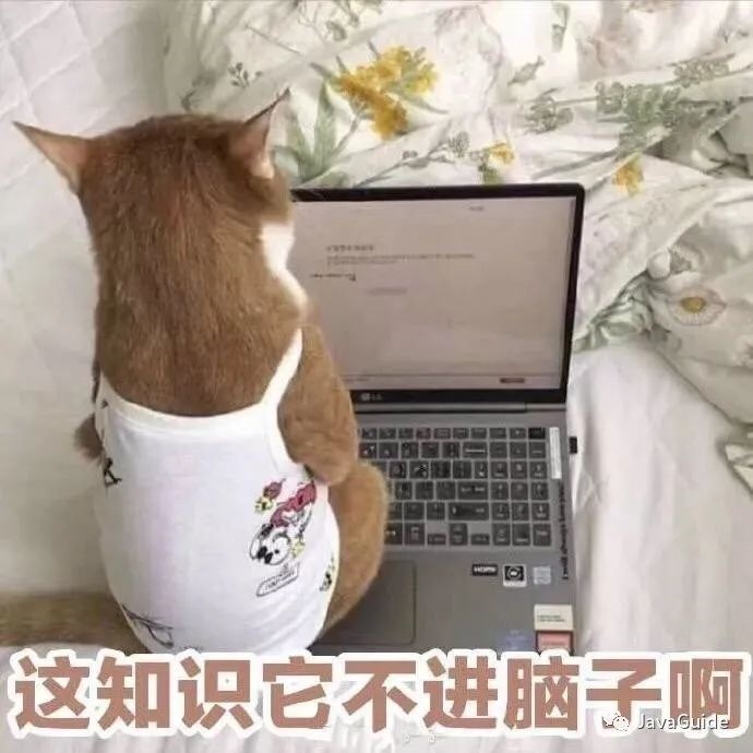 mysql设置了utf8mb4还是报错_为什么不建议在 mysql 中使用 utf-8?