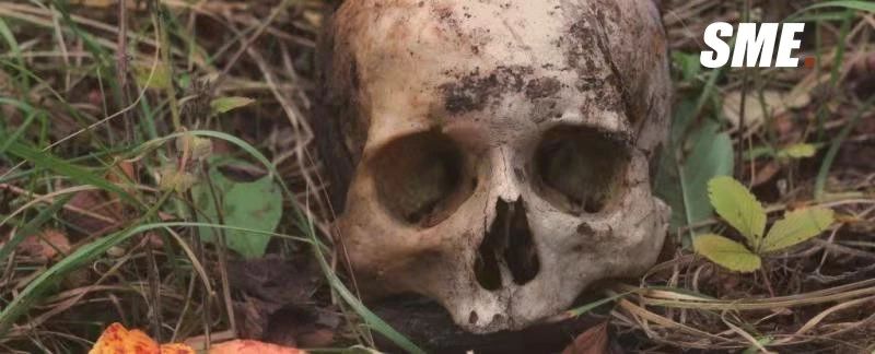 坟场,医院太平间或者火葬场是发生鬼故事的热门场所,大到新闻都会有