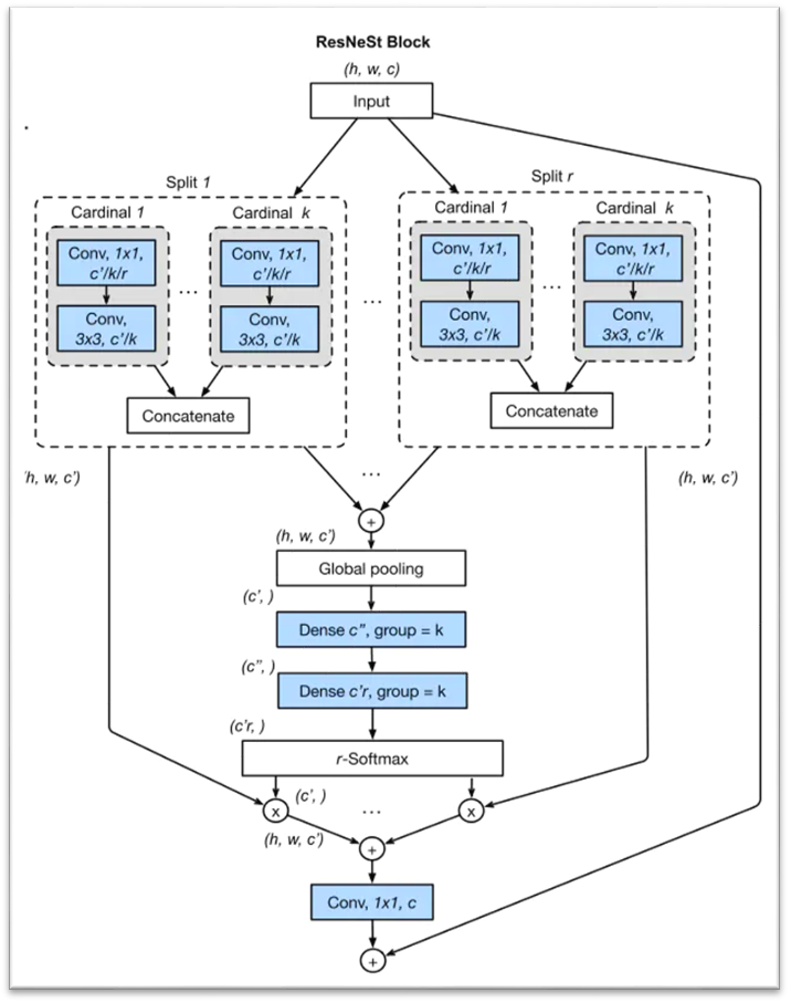 你的 ResNet 是时候更新了—ResNeSt 来也