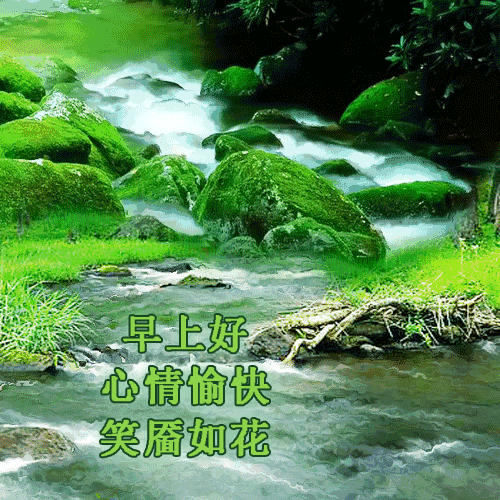 最新emoji表情代码大全最新出早晨好漂亮图片带字问候语微信群夏季