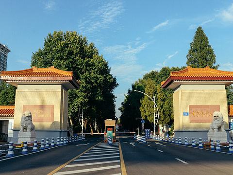 南京林业大学计算机专业强吗,南京林业大学在国内什么水平?