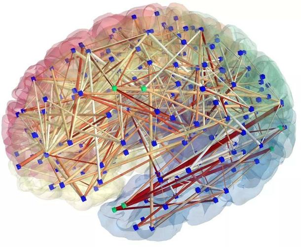 大脑皮层的基本神经过程_大脑皮层图及功能图