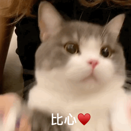  If you have a hand ？ from 0 Start teaching you to build your own website step by step （ Zero basis 、 Source code attached ）