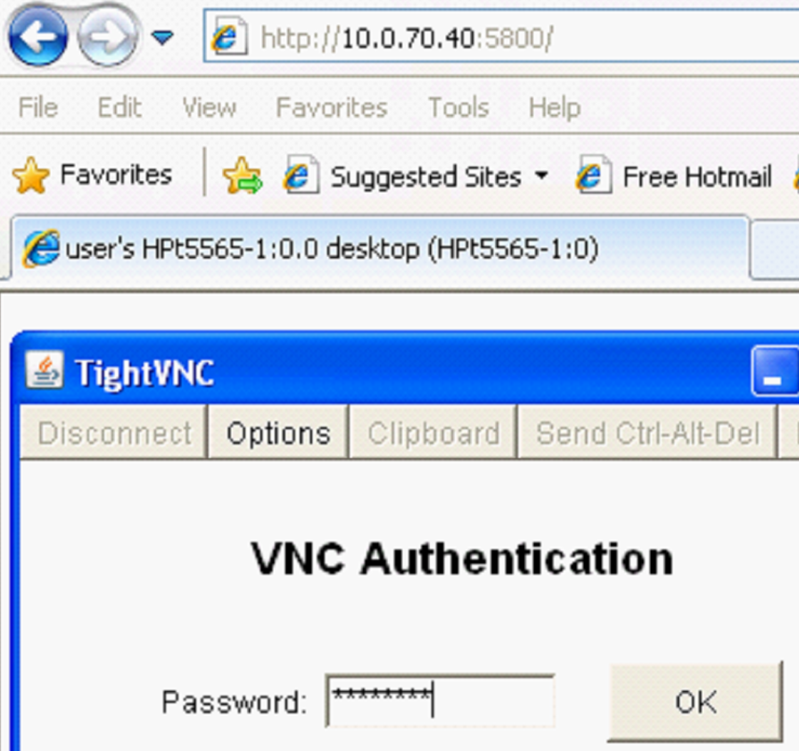 VNC Web Interface Port 5800