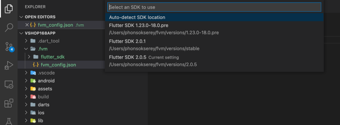 flutter fvm 版本控制
