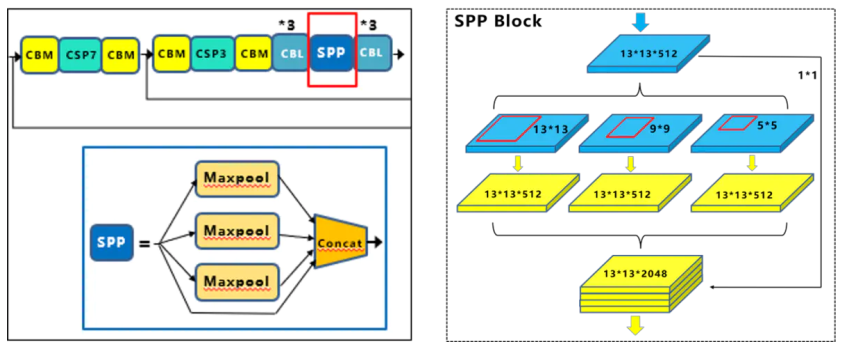 spp