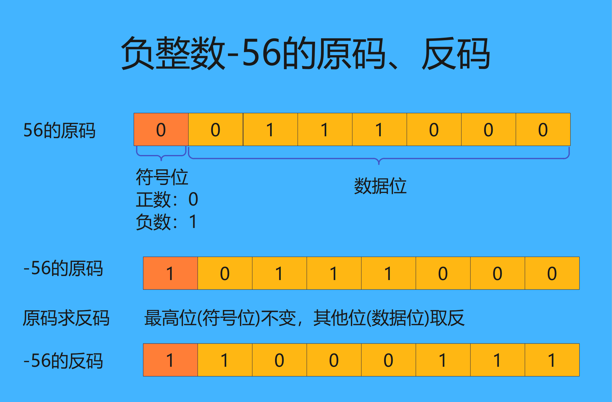 负整数-56的原码、反码