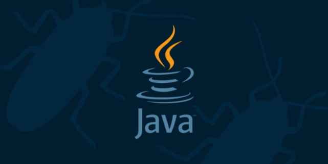 2020Java调查：中国开发者比例最高，Java8最受欢迎