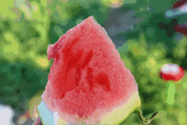 8b916c667995141ac05dd60e6b8d7658.gif