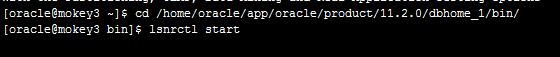 连接linux数据库Oracle时报错ORA-12541: TNS: 无监听程序重启后提示出现ORA-01034和ORA-27101