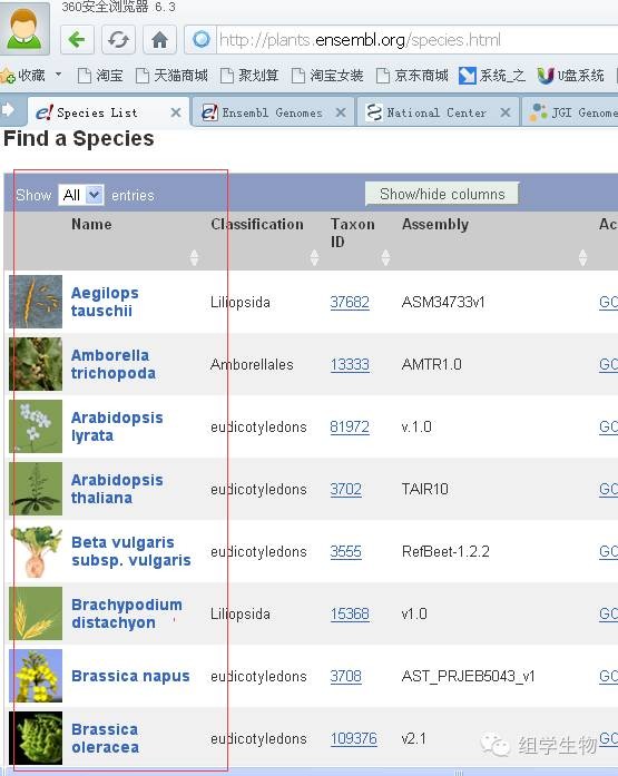 Ensembl数据库下载参考基因组（植物拟南芥）_拟南芥基因组序列下载-CSDN博客