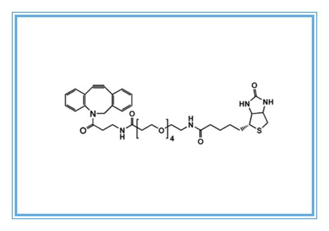 生物素点击试剂1255942-07-4，DBCO-PEG4-Biotin，生物素-PEG4-二苯基环辛炔