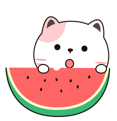 猫咪吃西瓜
