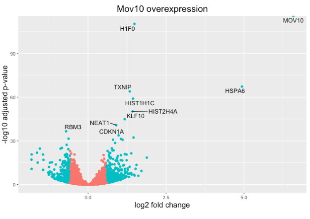 RNA-seq 详细教程：可视化（12）