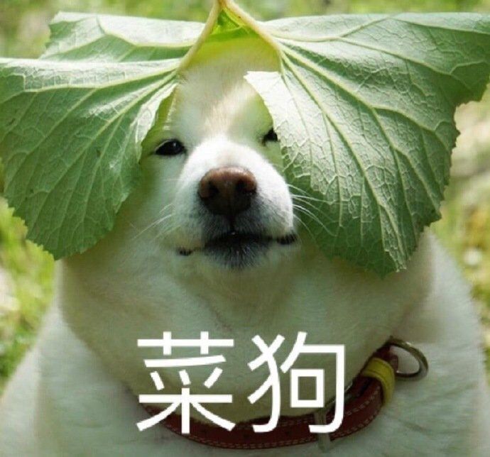 isdp_ch10&&ch11问题汇总
