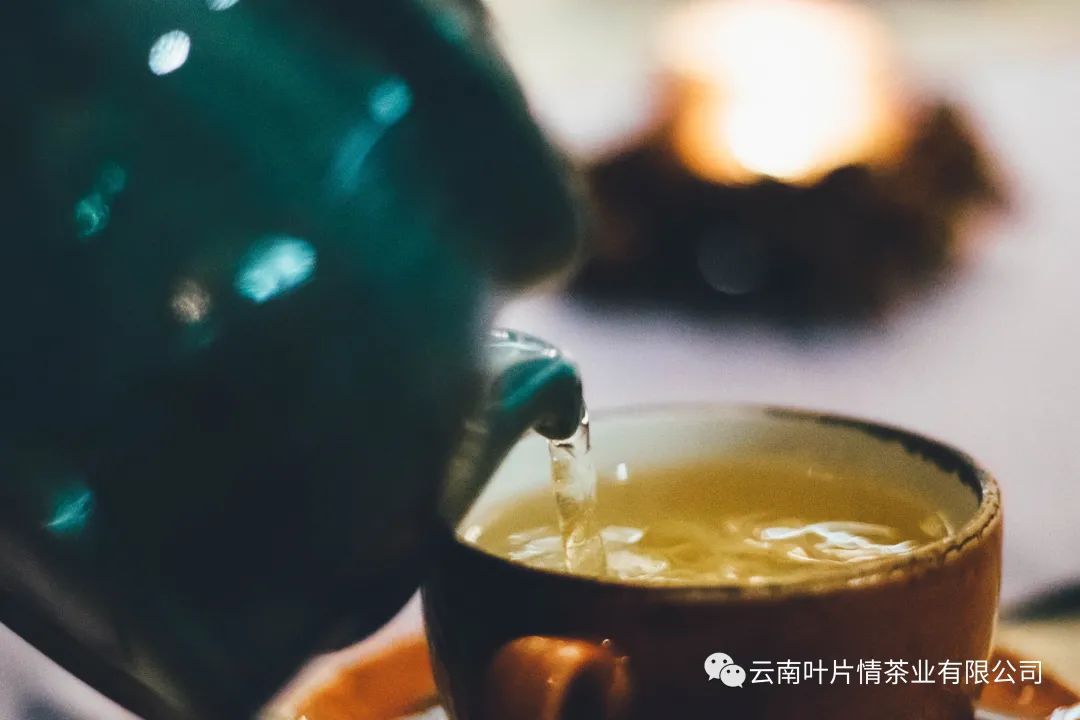 普洱茶知识大全