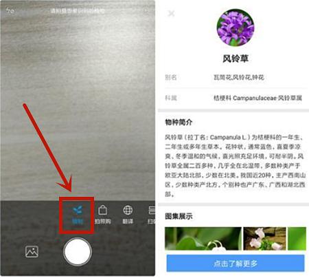 1,識別花草拍照識別篇方法:【安全中心】→【應用鎖】→選擇