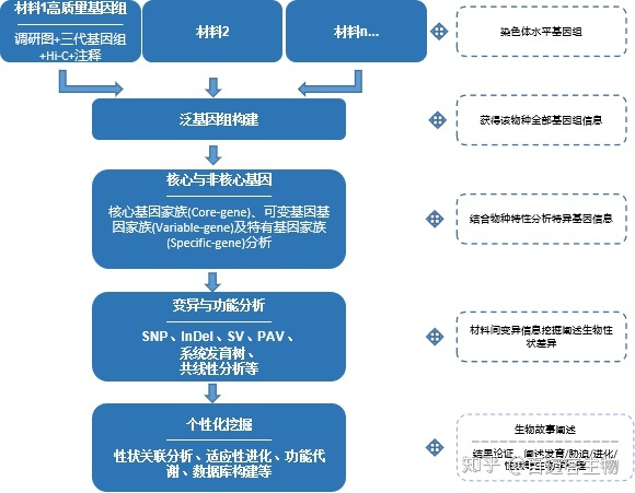 壮观霉素抗性基因原理_基因组学深入挖掘·研究方案（下篇）