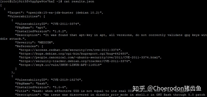 漏洞扫描原理 镜像漏洞扫描工具trivy 芥末不怕不怕啦的博客 Csdn博客